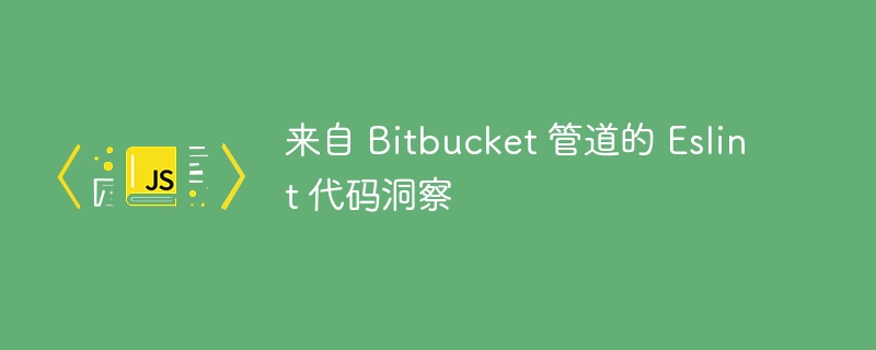 来自 Bitbucket 管道的 Eslint 代码洞察