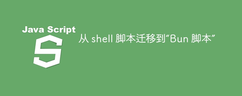 从 shell 脚本迁移到“Bun 脚本”