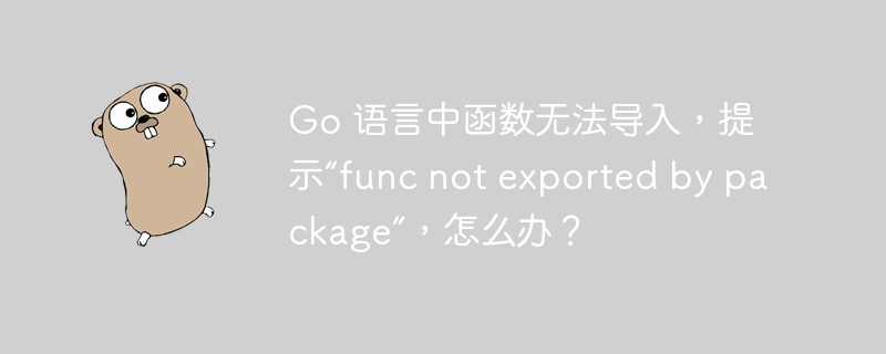 Go 语言中函数无法导入，提示“func not exported by package”，怎么办？