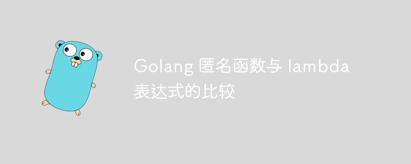 Golang 匿名函数与 lambda 表达式的比较