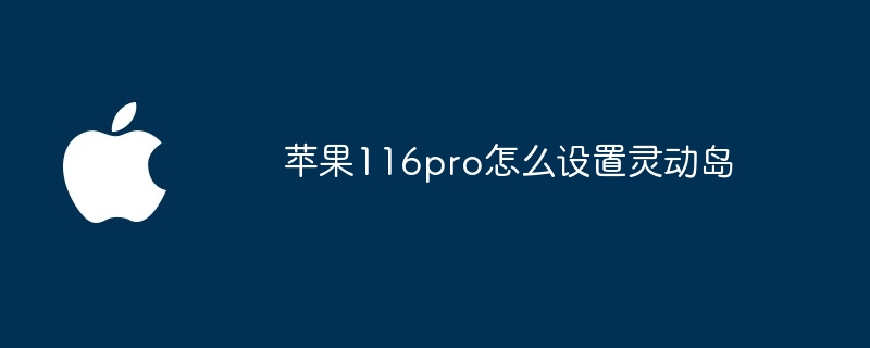 苹果116pro怎么设置灵动岛