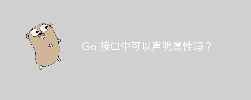 Go 接口中可以声明属性吗？