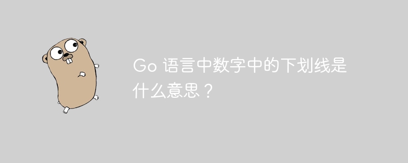 Go 语言中数字中的下划线是什么意思？