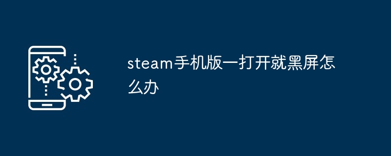 steam手机版一打开就黑屏怎么办