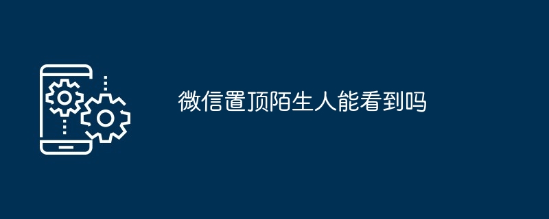 微信置顶陌生人能看到吗