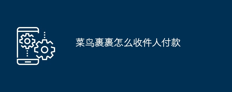 菜鸟裹裹怎么收件人付款