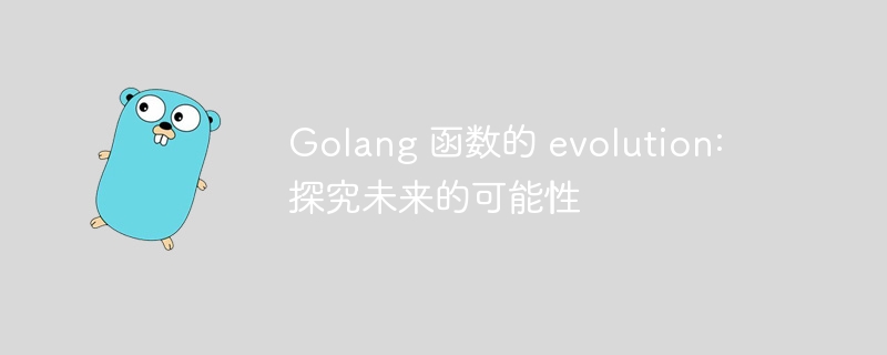 Golang 函数的 evolution: 探究未来的可能性