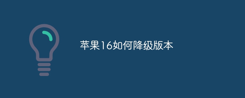 苹果16如何降级版本