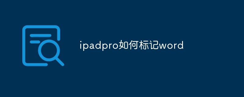 ipadpro如何标记word