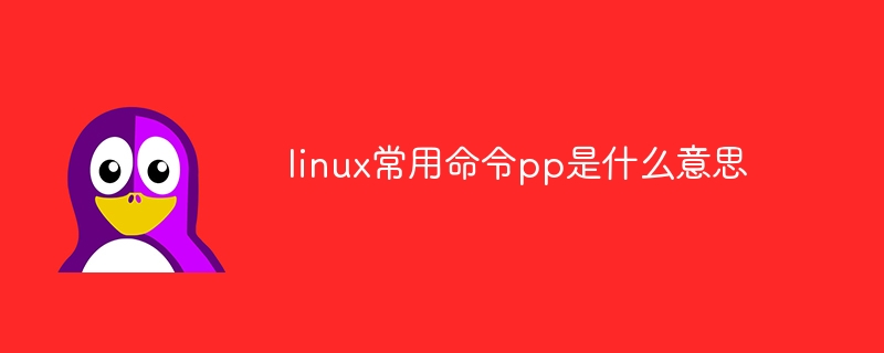 linux常用命令pp是什么意思