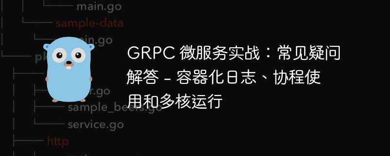 GRPC 微服务实战：常见疑问解答