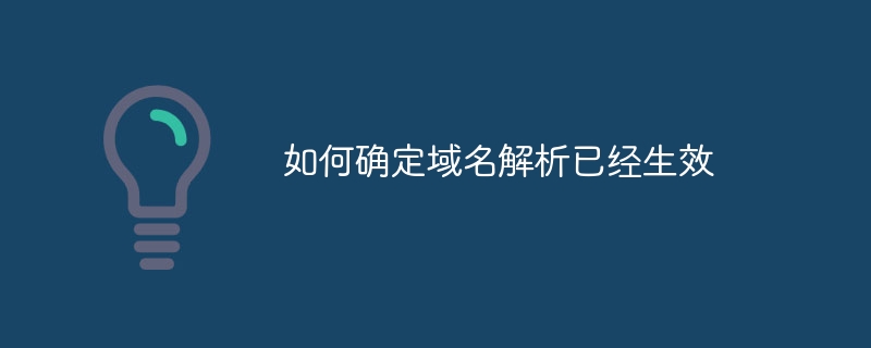 如何确定域名解析已经生效