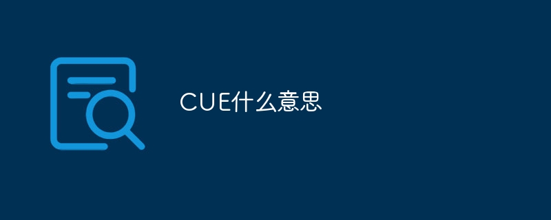 CUE什么意思