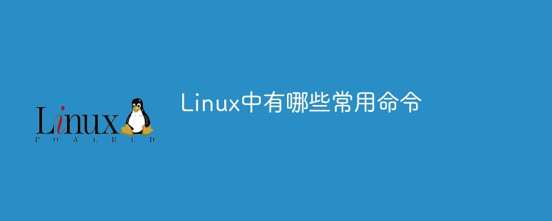 Linux中有哪些常用命令