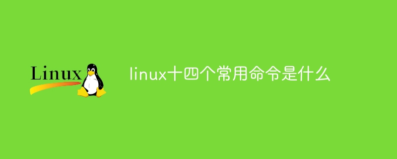 linux十四个常用命令是什么