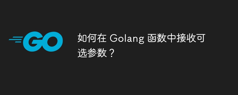 如何在 Golang 函数中接收可选参数？