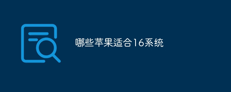 哪些苹果适合16系统