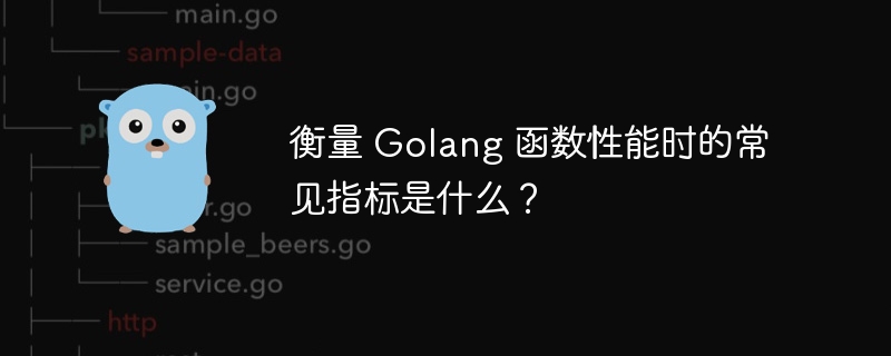 衡量 Golang 函数性能时的常见指标是什么？