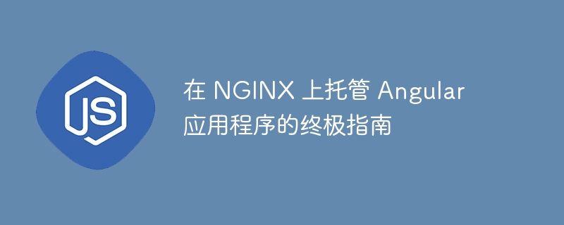 在 nginx 上托管 angular 应用程序的终极指南