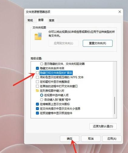 Win11怎么显示文件后缀名 Win11显示文件后缀名操作方法