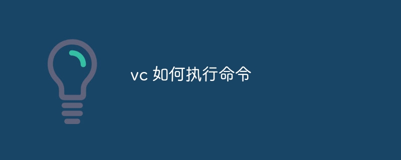 vc 如何执行命令