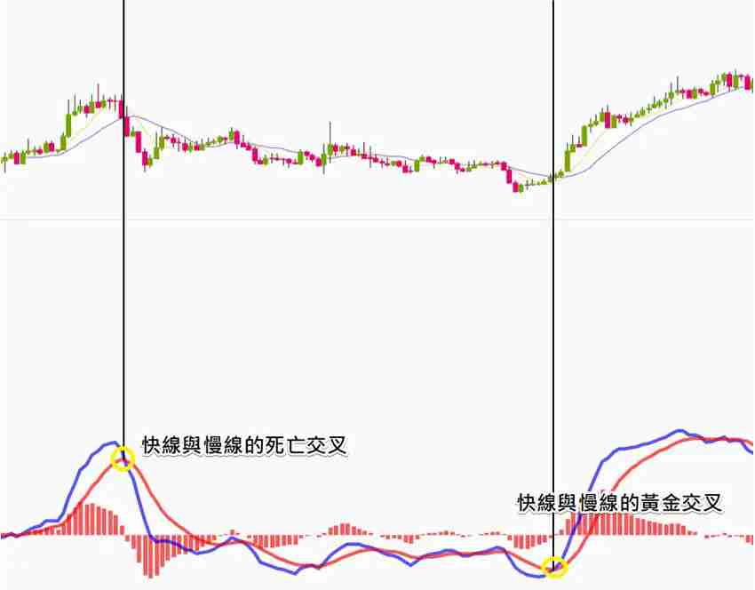 币安技术分析教学：MACD均线预测加密货币趋势