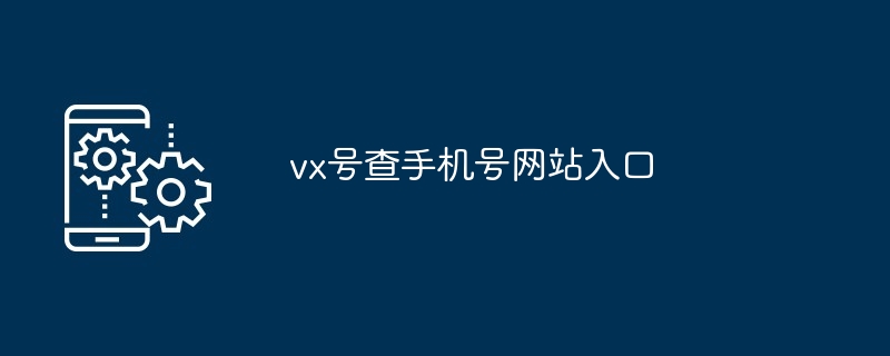 vx号查手机号网站入口