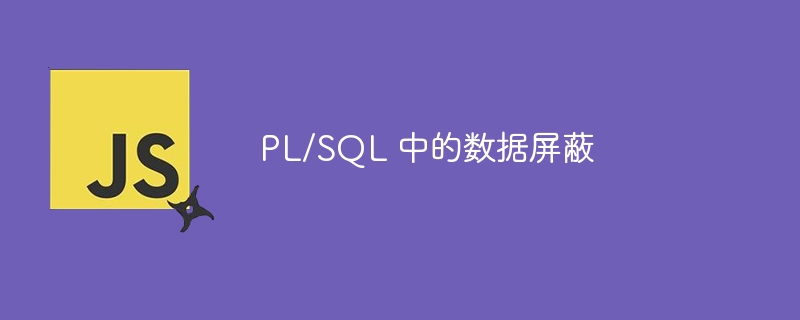 pl/sql 中的数据屏蔽