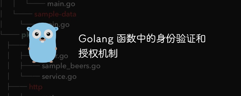 golang 函数中的身份验证和授权机制