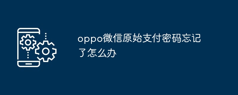 oppo微信原始支付密码忘记了怎么办