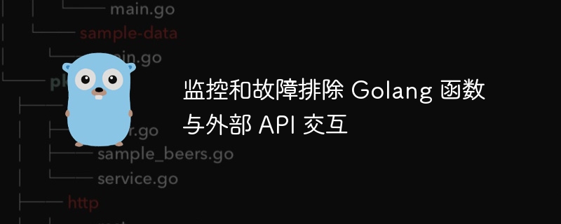 监控和故障排除 golang 函数与外部 api 交互