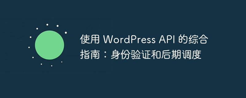 使用 wordpress api 的综合指南：身份验证和后期调度