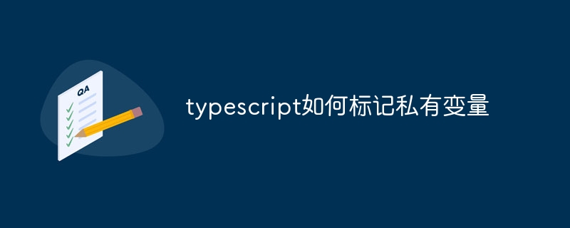 typescript如何标记私有变量