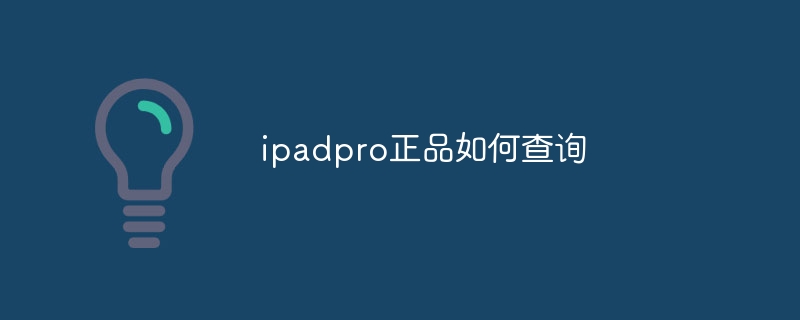 ipadpro正品如何查询