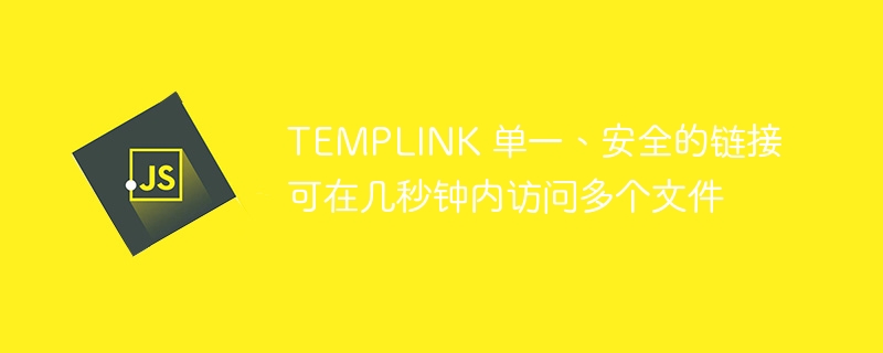 templink 单一、安全的链接可在几秒钟内访问多个文件