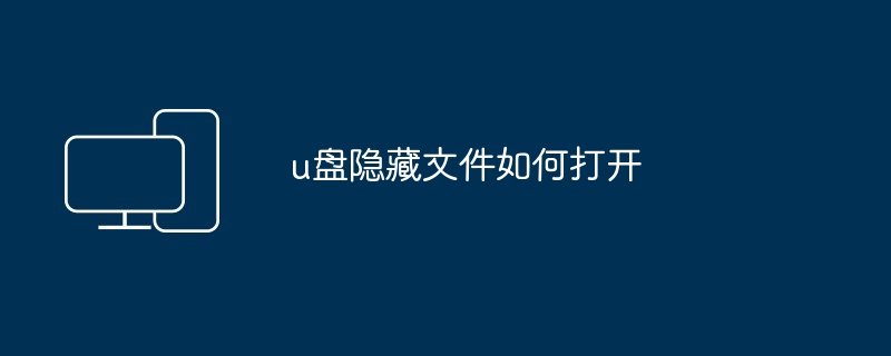 u盘隐藏文件如何打开