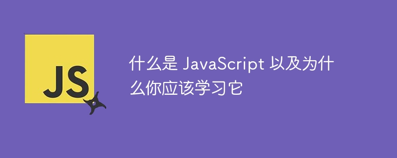 什么是 javascript 以及为什么你应该学习它