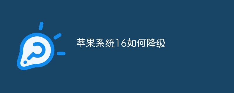 苹果系统16如何降级