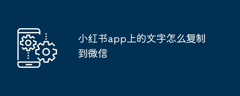 小红书app上的文字怎么复制到微信