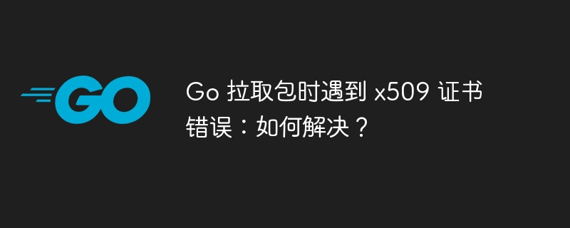 go 拉取包时遇到 x509 证书错误：如何解决？