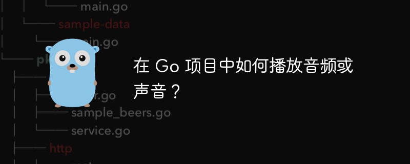 在 go 项目中如何播放音频或声音？