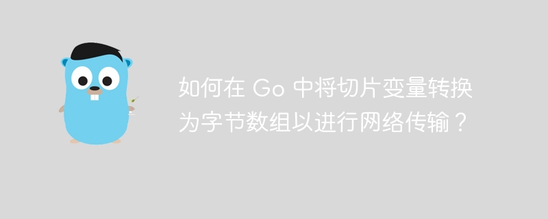 如何在 go 中将切片变量转换为字节数组以进行网络传输？