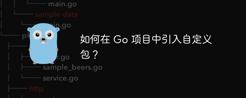 如何在 go 项目中引入自定义包？