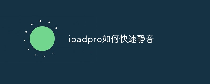 ipadpro如何快速静音