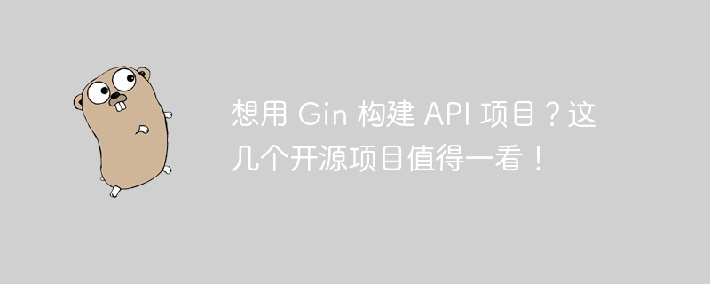 想用 gin 构建 api 项目？这几个开源项目值得一看！