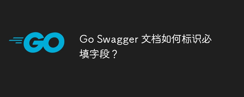 go swagger 文档如何标识必填字段？