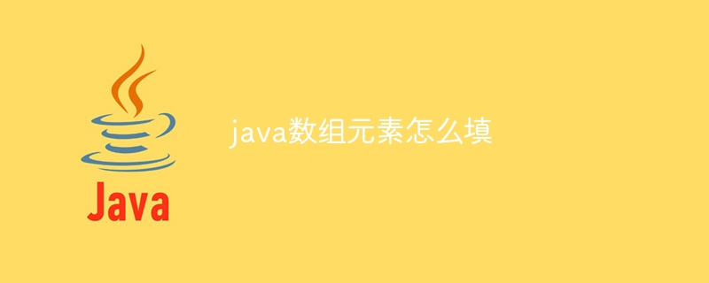 java数组元素怎么填