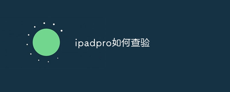 ipadpro如何查验