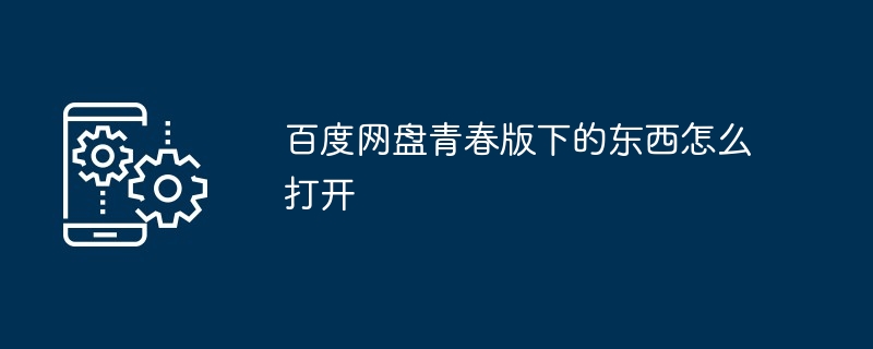 百度网盘青春版下的东西怎么打开