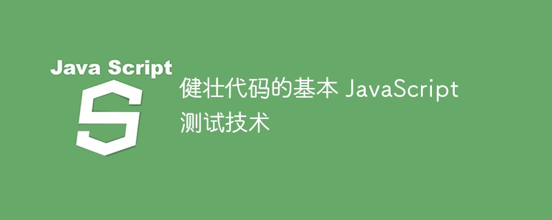 健壮代码的基本 javascript 测试技术